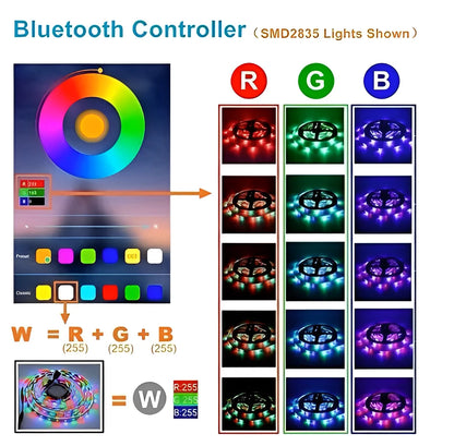 Fita LED RGB de 5 m com fonte e controle de dupla face - Neverdie Store